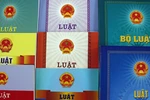 Thủ tướng phân công cơ quan soạn thảo văn bản thi hành 7 luật