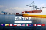 Biểu thuế xuất nhập khẩu ưu đãi đặc biệt thực hiện Hiệp định CPTPP
