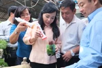 Bộ trưởng Nguyễn Thị Kim Tiến trực tiếp kiểm tra chống dịch sốt xuất huyết