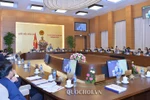 Dừng bầu, bổ nhiệm lãnh đạo tại các xã, huyện thuộc diện sắp xếp