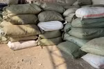 Quảng Ninh phát hiện 20 tấn nguyên dược liệu nhập lậu