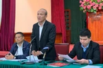 Hà Nội chi 3,6 tỷ đồng tiền ngân sách để chặt, di chuyển 476 cây ở đường Láng