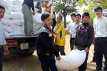 Tăng cường kiểm tra, giám sát việc phân phối gạo hỗ trợ cho học sinh