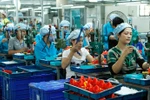 Tổ chức và hoạt động của Quỹ Phát triển doanh nghiệp nhỏ và vừa