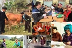 Nỗ lực hoàn thành các chương trình mục tiêu quốc gia