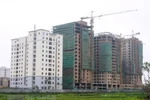 Xử lý vướng mắc khi triển khai một số luật lĩnh vực đầu tư, kinh doanh