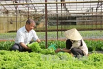 Thẳng thắn chỉ ra nguyên nhân, hạn chế trong phát triển kinh tế tập thể