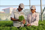 Thúc đẩy doanh nghiệp đầu tư vào nông nghiệp
