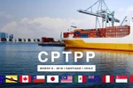 Nâng cao chất lượng hội nhập kinh tế quốc tế