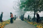 “Phiên chợ quê buổi sáng” lay động hàng chục nghìn kí ức tuổi thơ