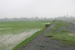 Vụ cưỡng chế ở Hà Nam: "Đất của ông Ngọc không phải là đất công ích"
