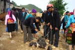 Góc ảnh: Phiên chợ bán động vật "độc nhất vô nhị" ở Hà Giang (P1)