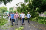 Chủ tịch HN chỉ đạo các biện pháp khắc phục, giải tỏa cây xanh gãy, đổ sau bão