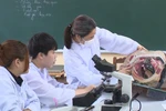 Thanh Hóa: Hậu sáp nhập trường nghề, một phần CSVC dôi dư bố trí cho trường ĐH