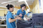 Vi phạm hành chính trong lĩnh vực GD nghề nghiệp xử phạt tối đa 150 triệu đồng