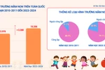 Hệ thống giáo dục mầm non nước ta từ năm 2010 đến 2024 qua những con số