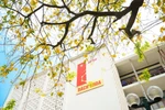 Năm 2025, ĐH Bách khoa Hà Nội dự kiến tổ chức 3 đợt thi đánh giá tư duy