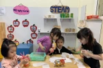 6 rào cản khi triển khai ứng dụng STEAM trong trường mầm non ở Việt Nam
