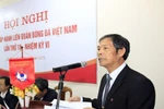 Những quyết định của Ban chấp hành VFF: Cũ rích và sáo mòn