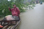 Mưa lũ lớn ở Nam Trung bộ, Tây Nguyên khiến nhiều trường học đóng cửa