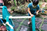 Khó khăn vì dịch bệnh, nhóm trẻ tư thục nhờ phụ huynh hỗ trợ trả lương giáo viên