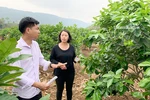 Hiệu quả từ phong trào thi đua "Dân vận khéo" ở tỉnh Sơn La