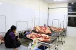 Phòng GD Mộc Châu báo cáo gì về 40 học sinh bị ngộ độc tại buổi ngoại khóa?