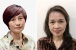 Khởi tố thêm 2 giám đốc trong vụ đưa hối lộ ở Cục Lãnh sự - Bộ Ngoại giao