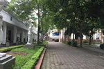 Trường ĐH Mỹ thuật VN nói gì về phản ánh Trưởng khoa Đồ họa không đủ uy tín?