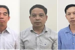 Khởi tố, bắt tạm giam Thứ trưởng Bộ Ngoại giao Tô Anh Dũng