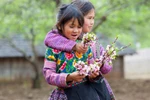 Nét ngây thơ của những em bé vùng núi Mộc Châu (Phần 3)