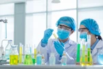 Pháp: Tỷ lệ tuyển sinh bậc tiến sĩ ngành Toán giảm 10% so với năm trước