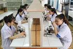 Hơn 97% doanh nghiệp nhỏ và vừa, làm sao tạo nguồn thu cho trường đại học?