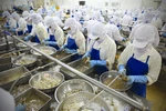 Úc ngừng nhập khẩu tôm sống sẽ gây ảnh hưởng lớn tới Việt Nam