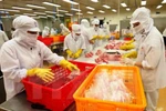 Bộ Công Thương cảnh báo lừa đảo trong giao dịch thương mại quốc tế