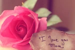 8 lời chúc hay dành cho mẹ ngày 8/3