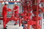Khả năng sinh lời cao của cổ phiếu điện lực dầu khí Nhơn Trạch