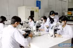 Trường đại học mong sớm có hướng dẫn chi tiết cách xác định rủi ro trong NCKH