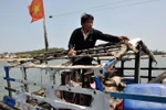 Báo TQ vỗ ngực, tỏ ra đắc thắng vụ đưa giàn 981 xâm phạm Việt Nam