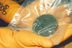 Tân Hoa xã: "Nhật Bản thừa nhận chưa báo cáo 640 kg plutonium"