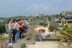 Tảo mộ cuối năm, con cháu nhớ về cuộc 'vận động tư tưởng' cho bố lúc sinh thời