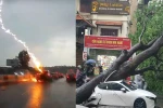 Ô tô bị cây đổ, sét đánh, quy trình thủ tục để được nhận bảo hiểm ra sao?