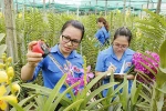 Hòa Bình: Phấn đấu 30% dự án khởi nghiệp của HS, SV được kết nối với DN