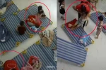 Hà Nội: Con 3 tuổi bị bạn đánh, GV lôi xềnh xệch do dậy muộn, phụ huynh bức xúc