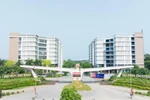 Nhiều biểu mẫu công khai bị lỗi, ĐH Đại Nam nói "do website bị gián đoạn"