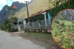 Nhói lòng hoàn cảnh của nữ giáo viên ở Hà Giang gặp nạn rơi xuống vực sâu