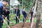Bộ trưởng Nguyễn Mạnh Hùng tham gia lễ trồng cây tại PTIT