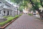 ĐH Mỹ thuật Việt Nam: Sinh viên ngành Đồ họa ra trường lương cao hơn giảng viên