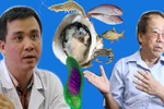 Chuyên gia mách nước cách phòng tránh vi khuẩn 'chết người' ở hàu, hải sản sống