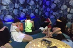 Sở GD&ĐT Hoà Bình: Tăng cường phối hợp không để học sinh tham gia mại dâm